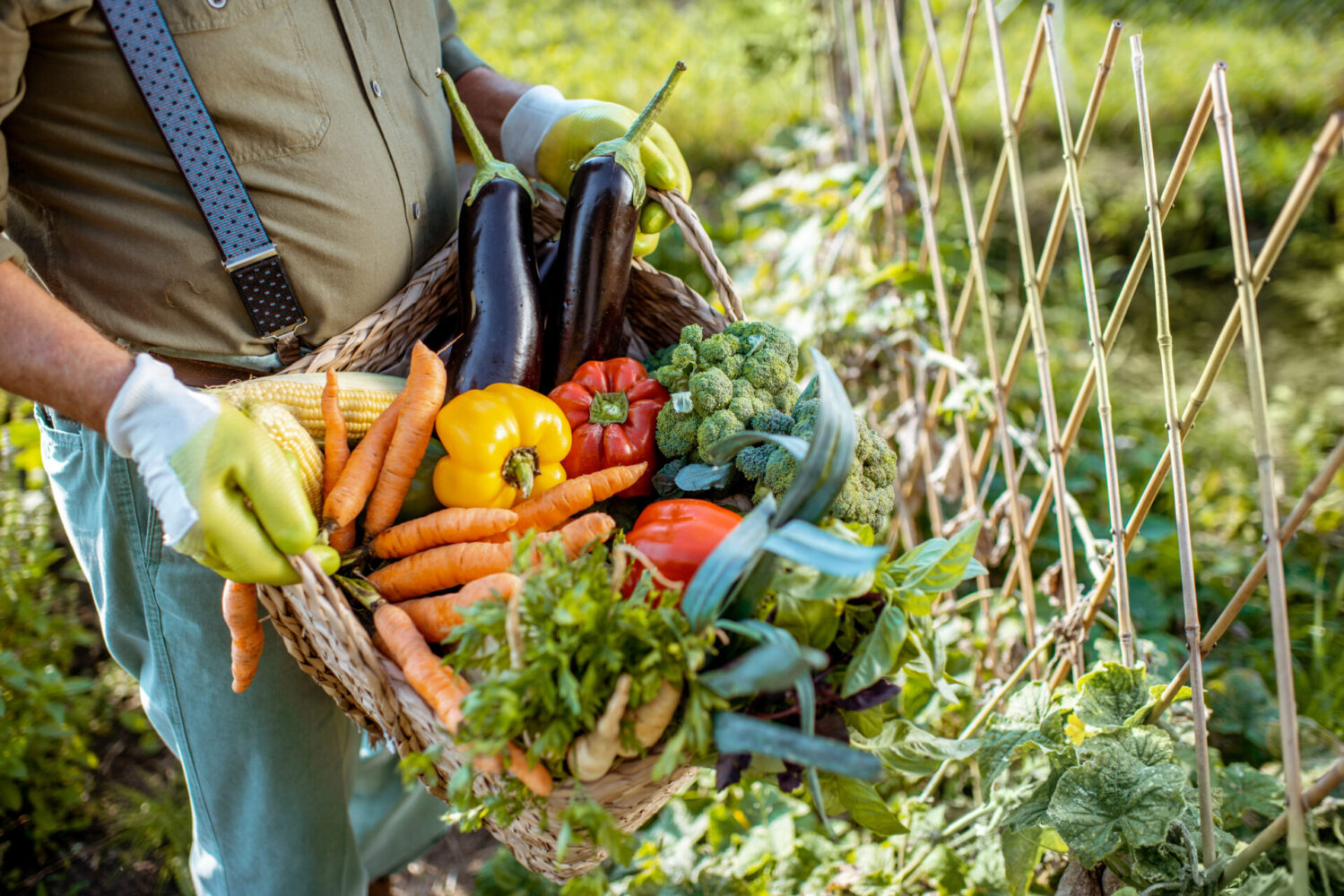 Beneficios De Las Verduras Y Hortalizas - Mercado Barceló